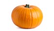 © Mandi - Single orange pumpkin against white