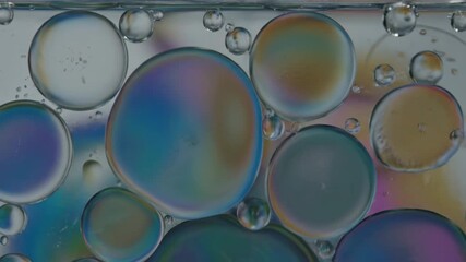 Wall Mural - extreme close-up of iridescent oil droplets gracefully merging and flowing in water, forming beautif