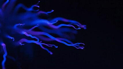 Wall Mural - glowing pulsating abstract bioluminescent tendrils spread and undulate in deep blues and purples, cr