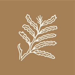 fern leaf tree branch logo vector icon illustration