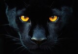 Close-up of a black panther face with intense glowing yellow-orange eyes in dark lighting creating a mysterious and powerful mood