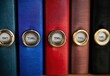 © Liliya - Close-up view of colorful textured binders with circular metal label holders on a shelf, showing a neat and organized office or study environment