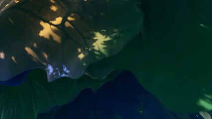 Wall Mural - seamlessly looping abstract animation of soft golden light patterns filtering through an oscillating