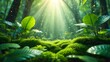 © Raje - Sunlight streams through the lush green forest creating a magical atmosphere of nature