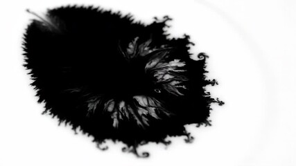Wall Mural - dark, thick black ink slowly spreading and forming intricate patterns on a smooth, reflective white 