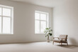 © peter - Minimal living room with chair and plant in natural light