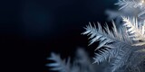 Winter Frost Stunning Ice Crystal Close-Up
