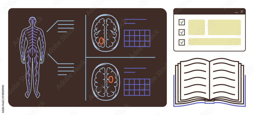 Human body diagram with brain anatomy, scan details, grid patterns ...