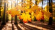 © Creative Parul  - Golden autumn leaves bathed in sunlight forest pathway serene seasonal beauty
