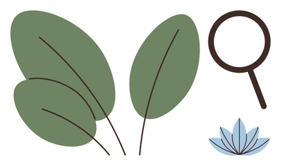 Green leaves clustered together, brown magnifying glass, and blue flower petals. Ideal for ecology, wellness, sustainability, exploration, mindfulness research botanical themes. Simple flat