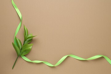 Wall Mural - Beautiful ribbon and green leaves on beige background, flat lay. Space for text