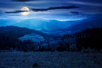 Wall Mural - landscape with coniferous forest behind the meadow in autumn at night. nature background with blue sky and mountain ridge in full moon light. alpine woodland