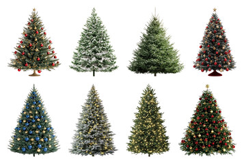 Wall Mural - PNG Festive Christmas tree collection, element set on transparent background