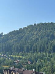 Wall Mural - picturesque view of buildings and trees in beautiful mountains