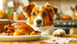 © Bill - Bad dog with paws on kitchen counter looking at a roasted turkey. AI