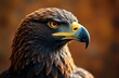 © starush - Close-up of a majestic eagle's head with sharp eyes and detailed feathers
