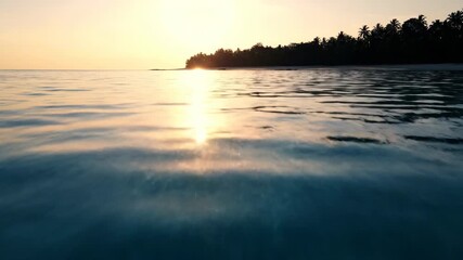Wall Mural - golden sunlight shimmers and reflects on a calm, pristine ocean surface near an untouched island sho