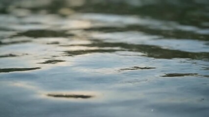 Wall Mural - A close-up, shallow depth of field shot focuses on the abstract patterns of sunlight dancing on the gently rippling lake surface tranquil, natural light, daylight