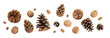 © Atlas - Pine cones and nuts are displayed for holiday crafting, on white, PNG