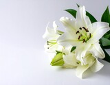 白い背景に白いユリの花束のクローズアップ