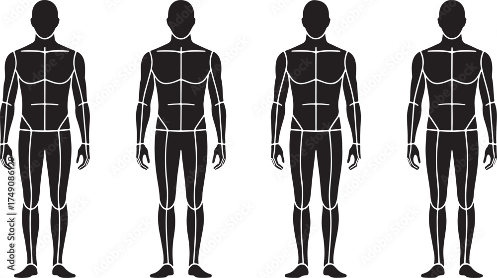 A collection of human body outlines, each representing a different body ...