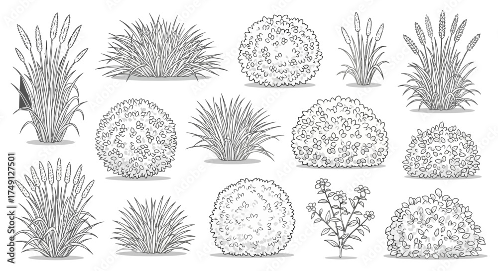 Vector illustration of various grass, shrubs, and bush drawings for ...