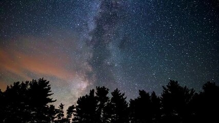 Wall Mural - Milky Way stars panning above dark forest silhouettes in 4K