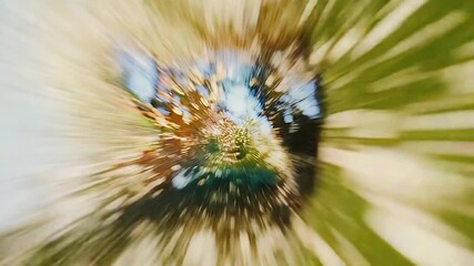 Wall Mural - Abstract colorful light explosion representing speed and warp