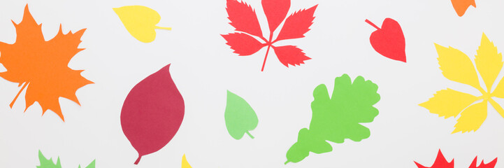 Wall Mural - Created colorful different paper leaves from application paper on light gray table background. Closeup. Autumn decoration. Wide banner. Top down view.