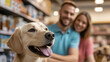 © A2Z AI  - Dog days with loved ones! A happy golden lab enjoys a trip to the store with its humans. Quality time and happy smiles all around.