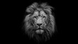 © Dewa - Majestic lion's face, detailed, black and white portrait, gazing straight ahead from darkness