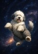 © Rawpixel.com - Fluffy dog floating galaxy