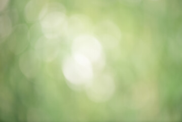 Wall Mural - Abstract defocus light natural green background. Defocus light green, bokeh.