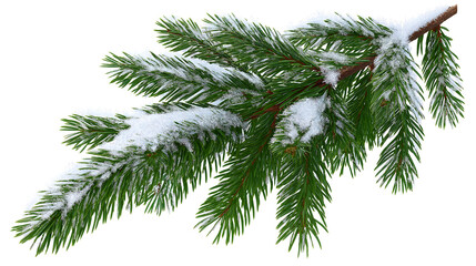 Winter snow covered pine tree branch evergreen christmas season image