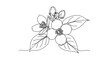 © gayuh - Elegant Floral Line Art - Delicate Blossoms and Leaves.