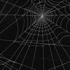 spider web with dew drops, spider web on black background, spider web on dark background