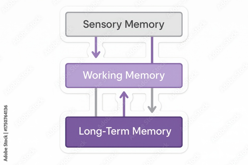 Memory Working Set Diagram illustrating the intricate hierarchy of memory systems ...