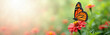 © Oleksandr - Monarch butterfly rests on vibrant pink flower. Orange insect with black spots sips nectar in sunny garden. Soft green bokeh background offers copy space for design.
