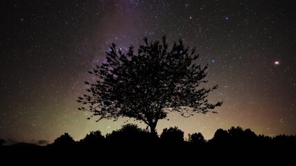 Wall Mural - Milky Way stars on a dark countryside skies. Time-lapse video.	
