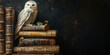 © fotoyou - White Owl Sitting on Old Books Background with Copy Space