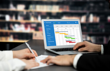 Wall Mural - Project planning software for brisk business project management on the computer screen showing timeline chart of the team project
