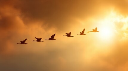 Wall Mural - Majestic Flock of Birds Flying in a Beautiful Sunset Sky with Vibrant Colors and Dramatic Clouds Illuminated by Warm Sunlight