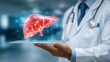 © LimeSky - Physician with liver replica and device Liver cancer tumors jaundice hepatitis types A E cirrhosis failure enlargement hepatic encephalopathy abdominal fluid and health issues