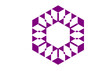 © FokalArt - Minimal purple hexagon geometric vector, modern abstract pattern with optical symmetry, bold centerpiece motif for branding, technology, backgrounds, web, decor, packaging, textiles, creative digital