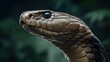 © elenaed - A majestic king cobra standing tall hood flared reptiles exuding power and danger in the dense jungle