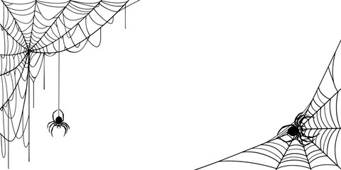 Wall Mural - Spider web Halloween frame, dividers. vector eps