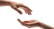 © Sadika Islam - Two hands reaching out to each other in a gesture of giving isolated on transparent background