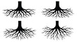 © md bappy - Four images showcasing detailed root systems of plants or trees