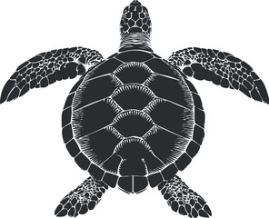 Wall Mural - Black and white silhouette illustration of a sea turtle with detailed shell and flippers.
