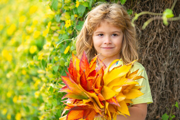 Wall Mural - Blonde kid portrait with autumn leaves. Little boy on a dreamy fall day in the autumn park. Childhood fun with falling maple leaves outdoors. Autumn day with a child. Kids face in autumn fall leaves.